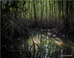 ជួរ​ភ្នំក្រវាញ គឺជា​តំបន់​ព្រៃ​ដែល​សម្បូរ​ទឹកភ្លៀង​ធំ​ជាងគេ​នៅ​ក្នុង​ប្រទេស​កម្ពុជា ដែល​គ្រប​ដណ្តប់​ដោយ​ព្រៃ​មូសុង​ដ៏​ក្រាស់​ក្នុង​ទំហំ​ជាង ៨០​ម៉ឺន​ហិកតា អម​ដោយព្រែក​និង​ស្ទឹង​បឹងបួរ​ជា​ហូរហែរ រួមទាំង​ព្រៃ​កោងកាង​ជា​ច្រើន ដូចដែល​ឃើញ​នៅ​ក្នុង​រូបភាព​នេះ។