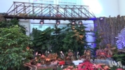 美国国家植物园展出31个老火车站模型 美国国家植物园展出31个老火车站模型