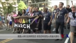 美国人举行支持同性恋等LGBT权益大游行 美国人举行支持同性恋等LGBT权益大游行