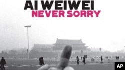纪录片《艾未未：从未抱歉》以其有争议的对天安门竖中指的作品为画面