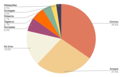 (Lakkoobsa Uummataa Bara 2007 Irrratti Kan Hundaa’e)