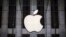 Sebuah logo Apple tergantung di atas pintu masuk toko Apple di 5th Avenue di borough Manhattan di New York City, 21 Juli 2015. (Foto: Reuters)