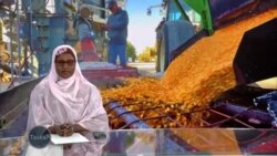 TASKAR VOA: Trump Ya Yi Barazanar Kara Haraji Kan Kayan Kanada, China Da Mexico