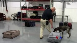 လေဆိပ်လုံခြုံရေး ကေနိုင်း အထူးတပ်ဖွဲ့