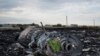 Flowers are placed on a plane engine at the crash site of a Malaysia Airlines jet near the village of Hrabove, eastern Ukraine, July 19, 2014.