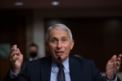Dr. Anthony Fauci di Washington, D.C., 23 September 2020. (FOto: dok).