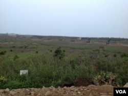 雷霆2000多管火箭(美国之音杨晨拍摄)