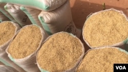 Shinkafa da sarafata