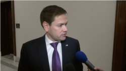 美国国会联邦参议员鲁比奥接受美国之音采访(2019年11月14日)