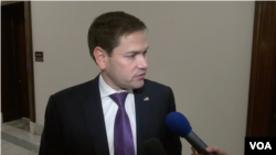 美国国会联邦参议员鲁比奥接受美国之音采访(2019年11月14日)