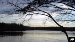 梭罗在沃尔登湖畔的公民抗命经历影响后世