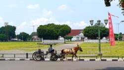 Andong melintas di Alun-Alun Utara Yogyakarta. (Foto: VOA/Nurhadi)