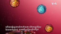 ក្រាហ្វ្រិក​ពន្យល់៖ ការ​បំលែង​ខ្លួន​របស់​វីរុសកូរ៉ូណា​ធ្វើឲ្យ​អ្នក​វិទ្យាសាស្ត្រ​ព្រួយ​បារម្ភ