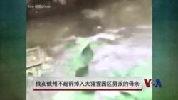 俄亥俄州不起诉掉入猩猩园区男孩的母亲