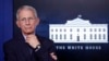 Direktur Institut Nasional AS untuk Alergi dan Penyakit Menular, Dr. Anthony Fauci di Gedung Putih, Washington, D.C., 1 April 2020. 