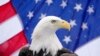 Iako se bjeloglavi orao već nalazi na Velikom pečatu Sjedinjenih Država, nikada nije bio formalno priznat kao nacionalna ptica zemlje. 