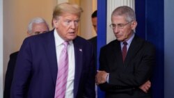 Presiden AS Donald Trump dan dr. Anthony Fauci, anggota satgas penanganan Covid-19 (foto: dok).