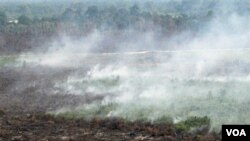 Pemerintah AS sepakat mengurangi utang Indonesia dalam suatu kesepakatan, yang bertujuan antara lain untuk mencegah penggundulan hutan.