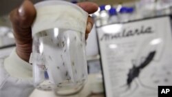 Prevalensi malaria di Indonesia masih mencapai lebih dari 400.000 kasus, sebagian besar di wilayah Indonesia timur. (Foto: Dok)