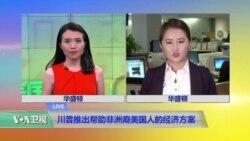 VOA连线:川普推出帮助非洲裔美国人的经济方案 VOA连线:川普推出帮助非洲裔美国人的经济方案