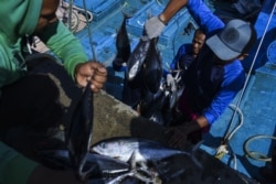 Para nelayan memuat hasil tangkapan di sebuah dermaga di Banda Aceh, 22 Agustus 2019. (Foto: AFP)