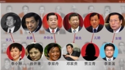巴拿马文件透露，中国有些高官的亲戚有离岸帐户，图片显示了一部分（头像来自网络，美国之音合成）