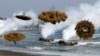 Amphibious assault vehicles of the South Korean Marine Corps throw smoke bombs as they move to land on shore during a U.S.-South Korea joint landing operation drill in Pohang, South Korea, March 31, 2014.