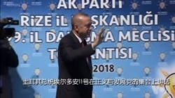 土耳其总统表示准备以国家货币与中国等开展贸易