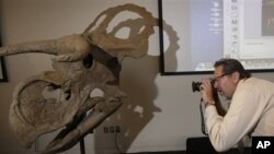 Creation Museum telah menambahkan kerangka-kerangka dinosaurus dan pameran berbagai jenis serangga untuk menarik lebih banyak pengunjung. (Foto: Ilustrasi)