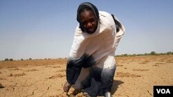 Penduduk Mauritania akan mengalami bencana kelaparan tahun ini bila tidak segera diambil tindakan untuk mengatasinya (foto: dok).