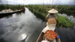 အင်းလေးကန်နဲ့ ဂေဟဗေဒစနစ်