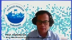 Pakar Pangan dan Gizi, Prof Hardinsyah, saat menjadi narasumber seminar daring bertema mencegah stunting, Selasa (3/11). Foto: VOA/ Yudha Satriawan