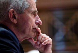 Dr. Anthony Fauci, Direktur Institut Nasional Alergi dan Penyakit Menular, mendengarkan selama dengar pendapat Subkomite Alokasi Senat Rabu, 26 Mei 2021, di Capitol Hill di Washington. (Foto: AP)