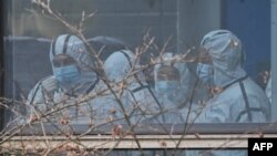 Anggota tim Organisasi Kesehatan Dunia (WHO) yang menyelidiki asal-usul virus corona, mengenakan alat pelindung, terlihat selama kunjungan mereka ke Pusat Pengendalian dan Pencegahan Penyakit Hewan Hubei di Wuhan. (Foto: AFP)