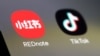 US 'TikTok Refugees' migrate to another Chinese app as ban looms