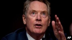 美国贸易代表莱特希泽在听证会上发言。（2020年6月17日）