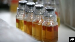 Ilmuwan Meksiko Gabriel Luna-Sandoval menciptakan perangkat untuk mengubah air seni menjadi daya atau energi (foto: ilustrasi). 