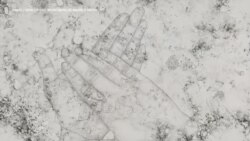 病毒是人类的敌人 也是艺术家的主题