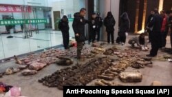 Satuan anti-perburuan satwa liar China menyita sejumlah barang bukti perdagangan ilegal satwa liar di Kota Guangde, Provinsi Anhui, China, 9 Januari 2020. (Foto: AP)