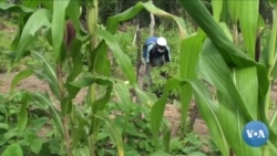 "Filhos da guerra": A dupla deslocação das vítimas do conflito (parte 1)