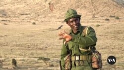 Kenyan conservancy uses reformed poachers to protect wildlife