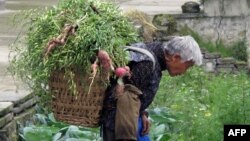 延安有些地区，民众生活仍然十分艰难