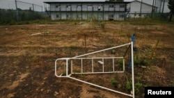 Tanaman yang tumbuh di lapangan-lapangan di sebuah komplek olah raga di kota Namie di Prefektur Fukushima yang penghuninya sudah dievakuasi. (Foto:Dok)
