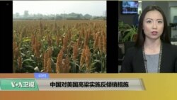 VOA连线(卡拉)：中国对美国高粱实施反倾销措施