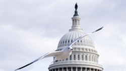 미 의회, 중국 압박 강화로 ‘북∙중 연계’ 차단 본격화