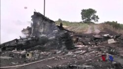 国际社会呼吁彻底调查马航坠机事件