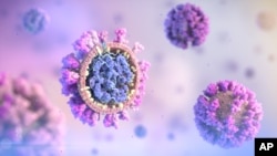 资料照 - Klick Health公司公布了用新的3D方法显示的COVID-19病毒的内部结构。