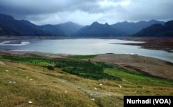 Waduk Sempor di Kebumen, Jawa Tengah mengering akibat kemarau, tanah berumput itu normalnya terendam air. (Foto:VOA/Nurhadi)