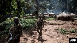 Ba soda ya mampinga ya ekolo Congo démocratique FARDC na zamba ya Wagu na Djugu, na Ituri, 4 juillet 2019.