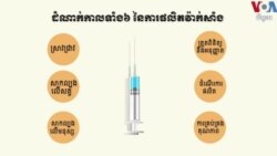ក្រាហ្វិកពន្យល់៖ តើវ៉ាក់សាំងត្រូវបានផលិតឡើងដោយរបៀបណា?